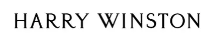 logo-winston